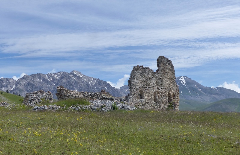 Orchidee a Campo Imperatore tra Medioevo e wilderness  primavera 2023